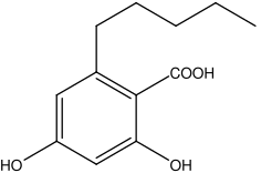 Structure 97